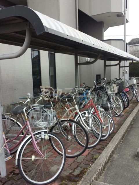 5/19 その他画像