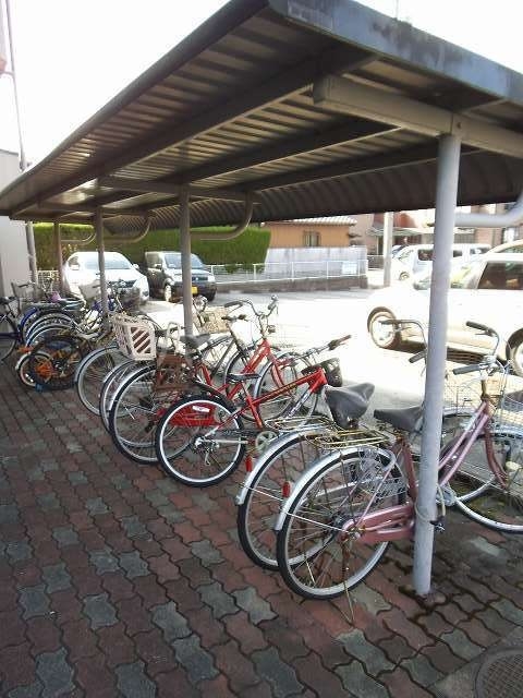 3/19 その他画像