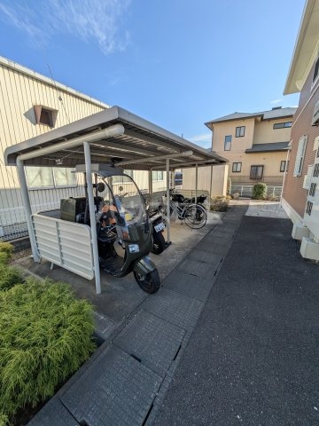 20/30 その他画像