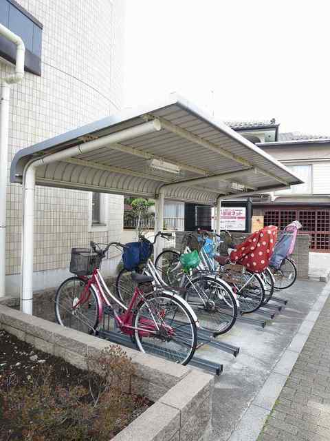 その他画像