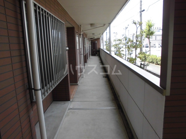 17/29 その他画像