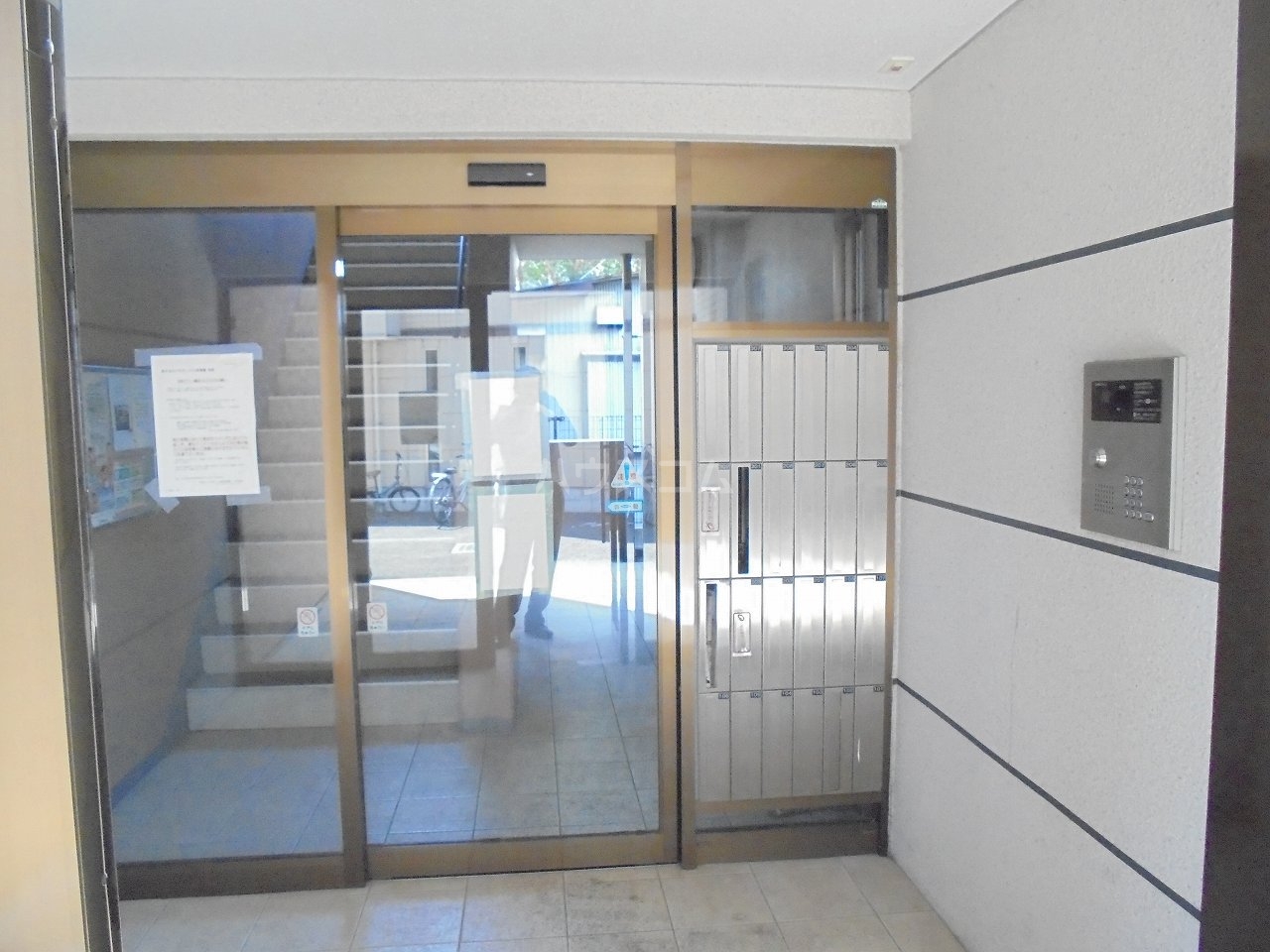 13/24 その他画像