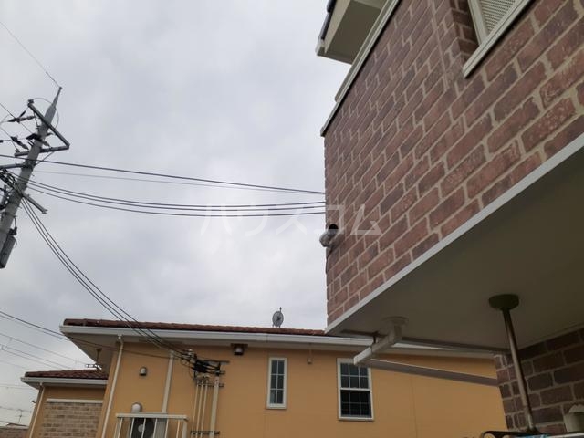 11/20 その他画像