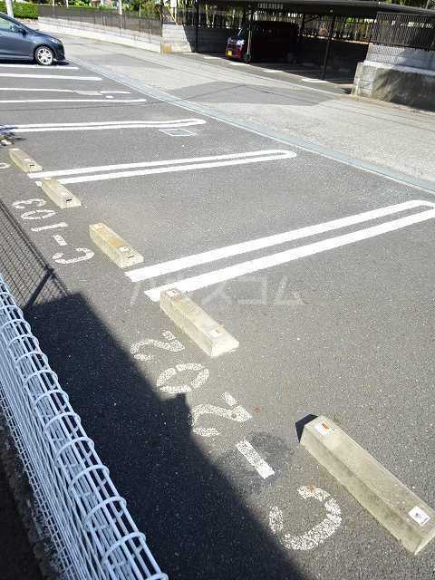 3/13 駐車場