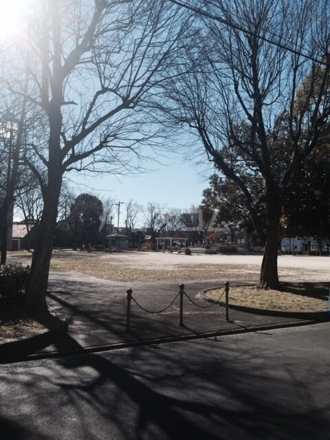 7/20 その他画像