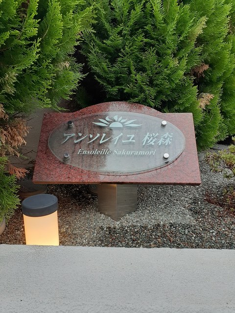 15/24 その他画像