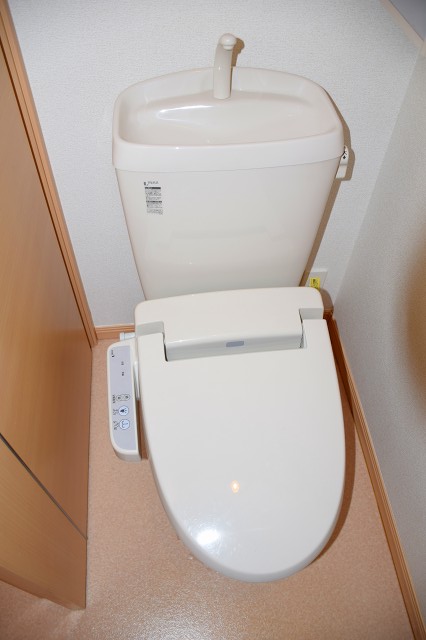 11/25 トイレ