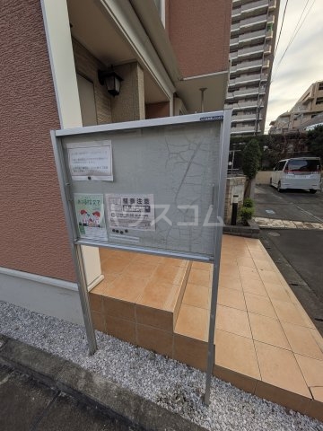 20/30 その他画像