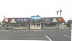 6/17 周辺