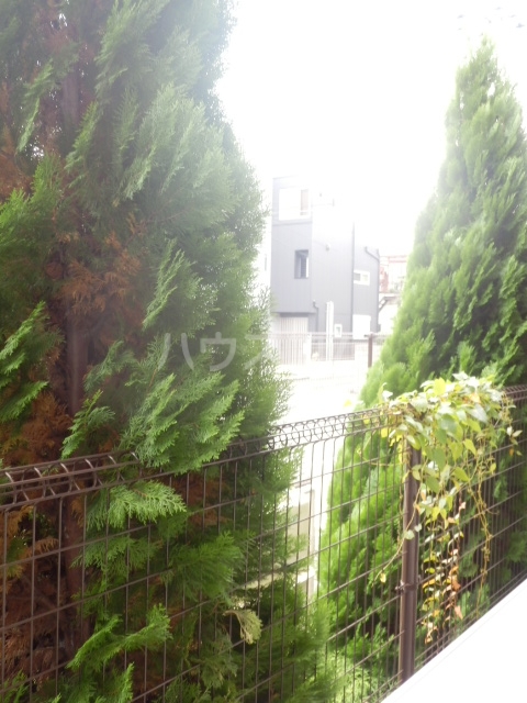 15/30 その他画像