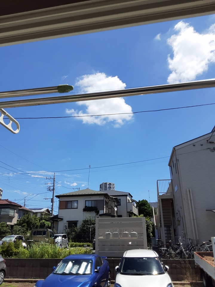 20/30 その他画像