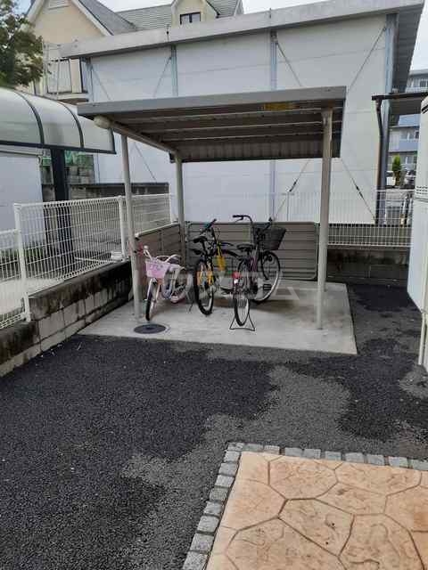 13/21 その他画像