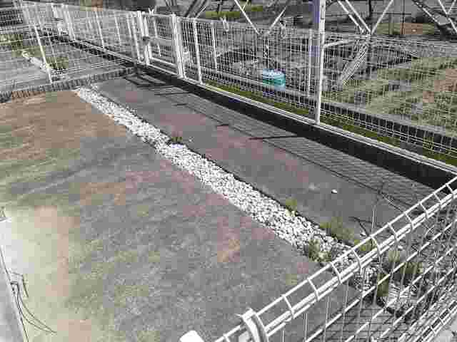 11/20 その他画像