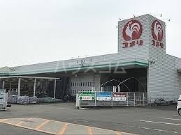 5/17 周辺