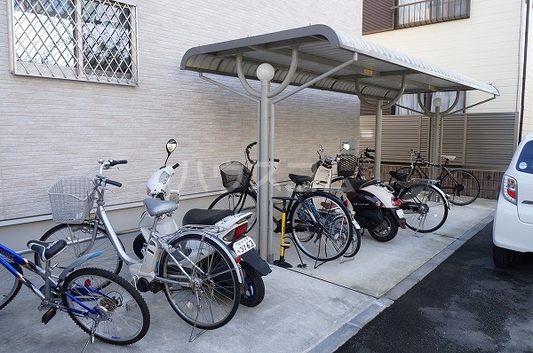 19/29 その他画像