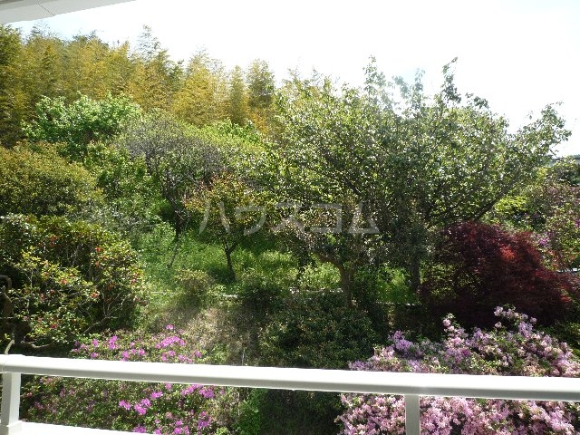 20/27 その他画像