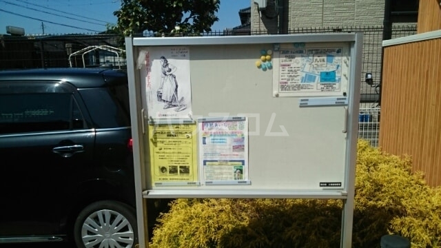 20/29 その他画像