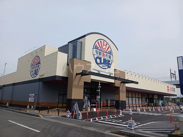 6/17 周辺