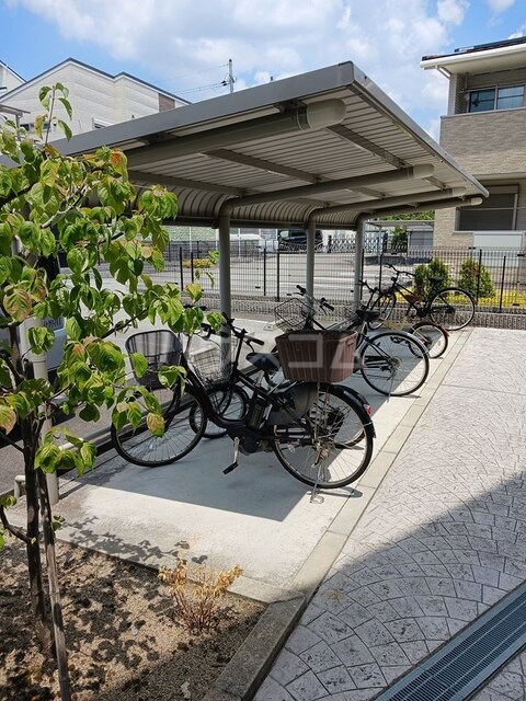 13/20 その他画像