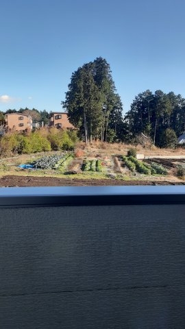 21/28 その他画像