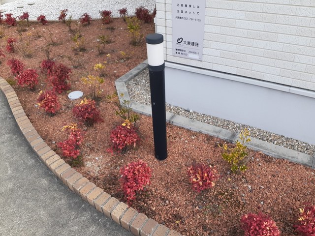 11/21 その他画像