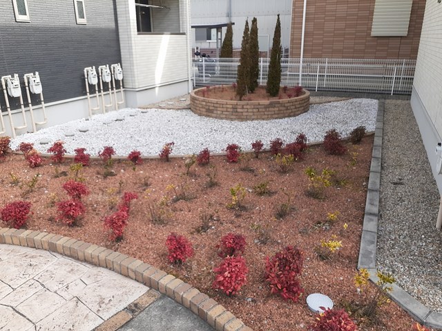 4/21 その他画像