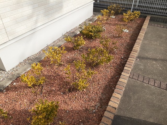 9/21 その他画像