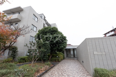 8/20 その他画像