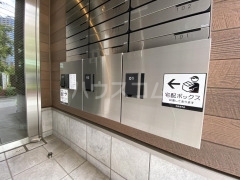 5/16 その他画像