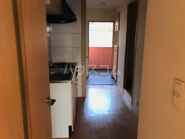 5/24 室内