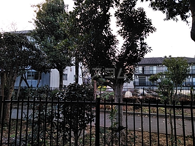 17/30 その他画像