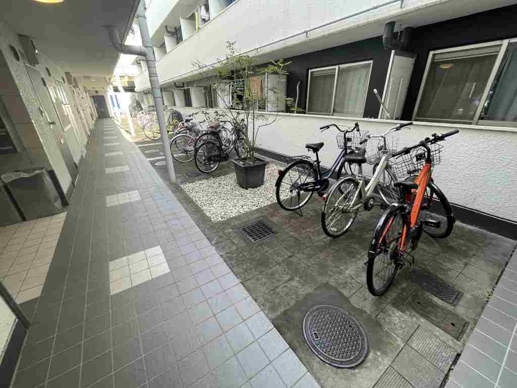 20/30 その他画像