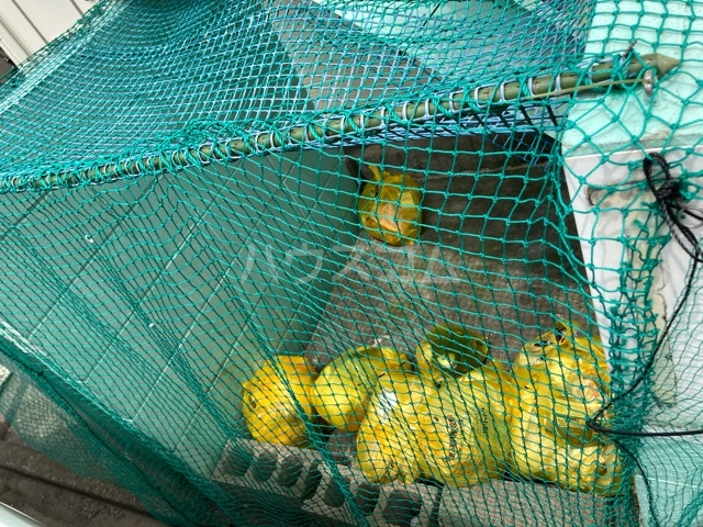 13/25 その他画像