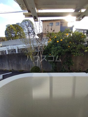 16/23 その他画像