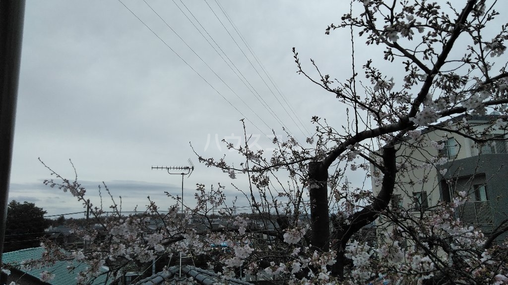 19/23 その他画像