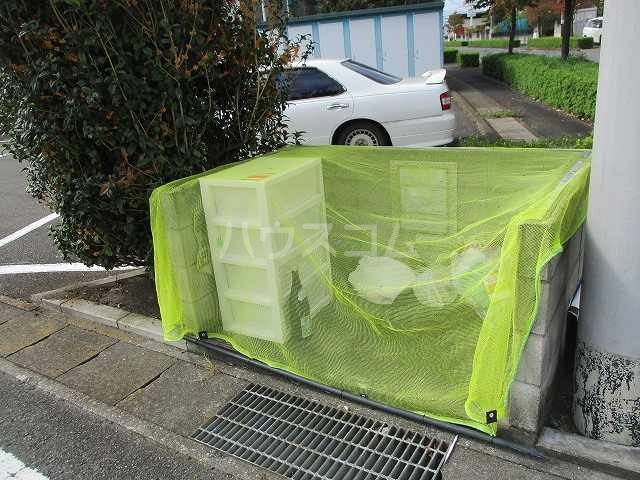 11/17 その他画像