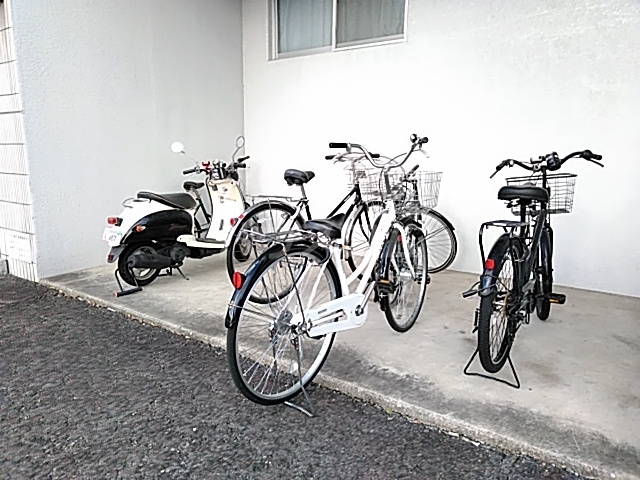 20/30 その他画像