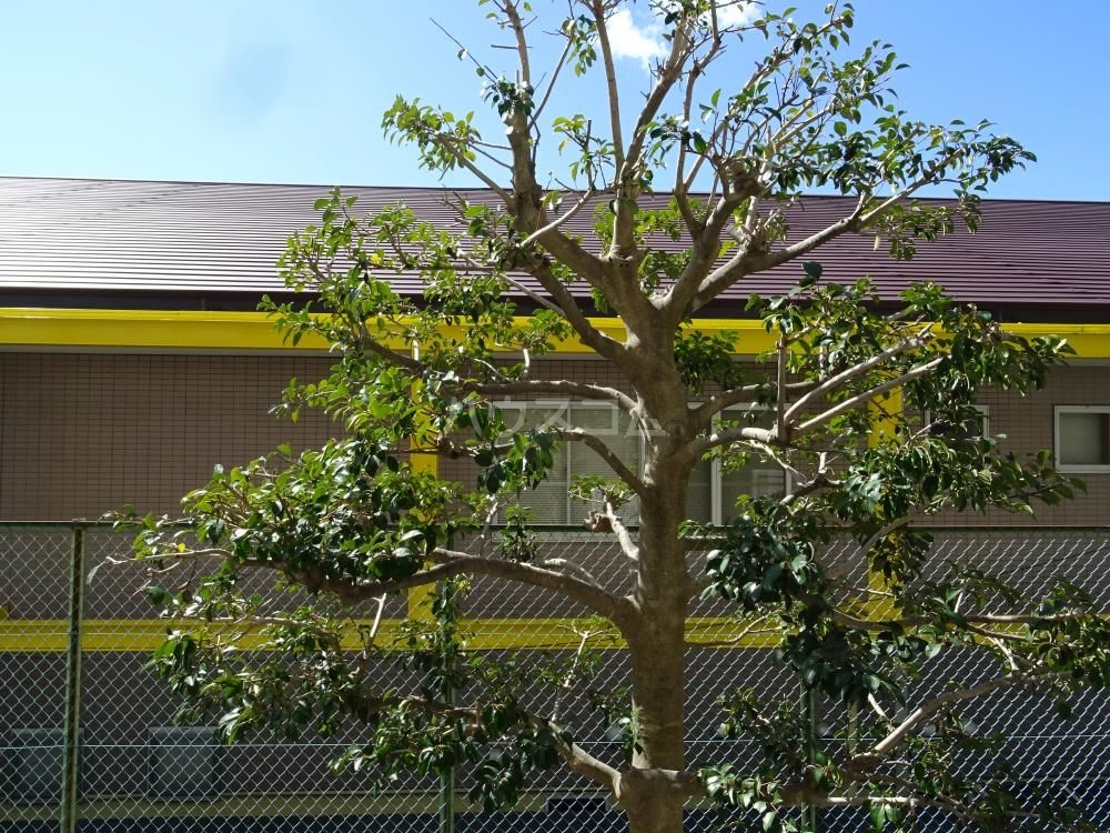 20/28 その他画像