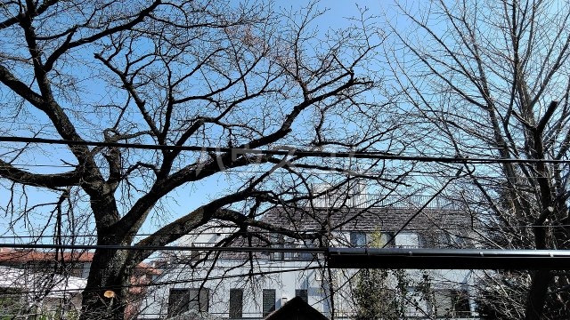 16/28 その他画像