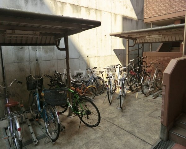 3/17 その他画像