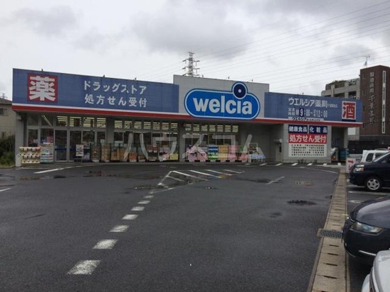5/7 周辺
