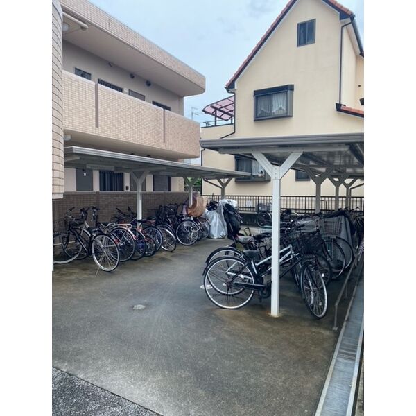 20/30 その他画像