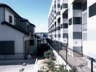 11/14 その他画像