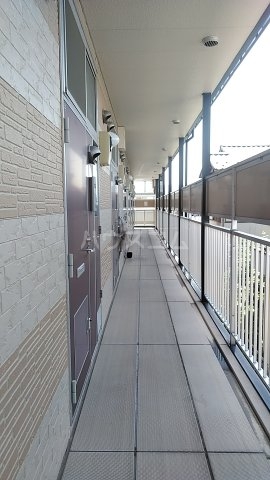 15/29 その他画像