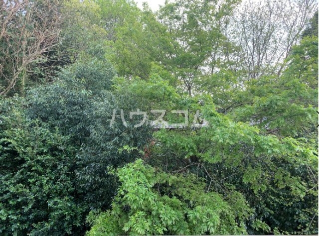 16/24 その他画像