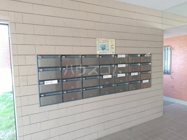 17/25 その他画像