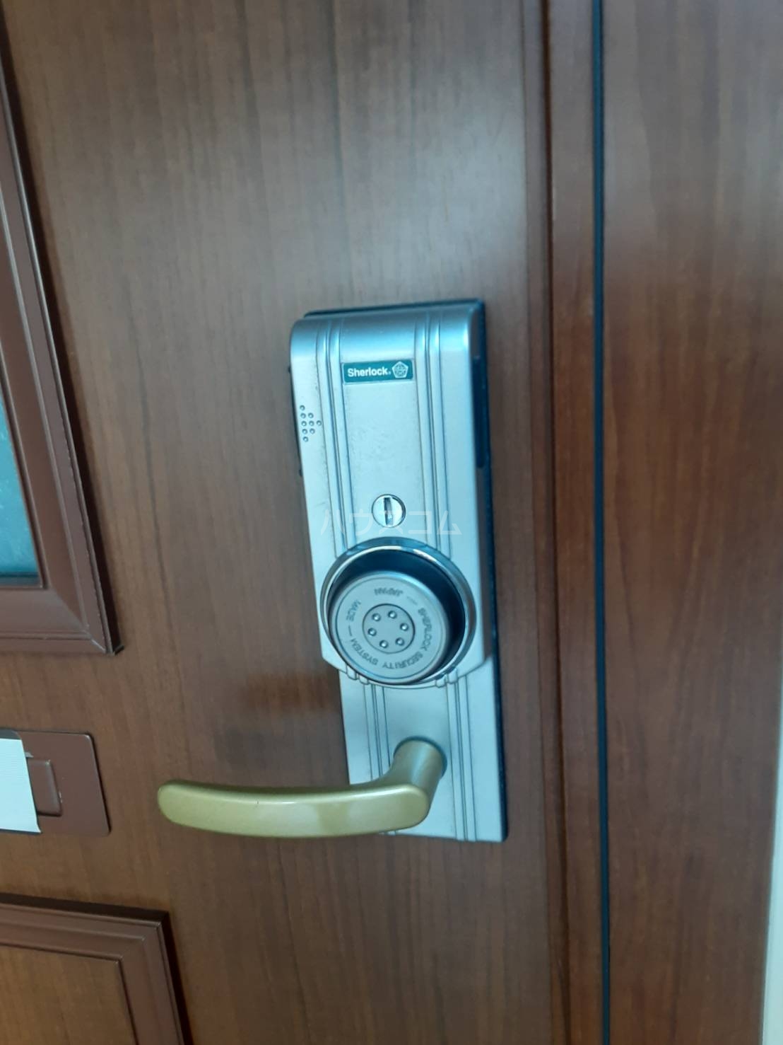 19/29 その他画像