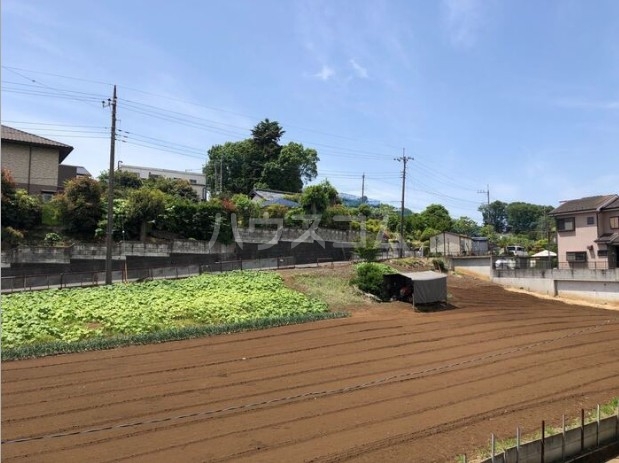 22/25 その他画像