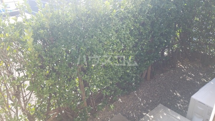 14/15 その他画像