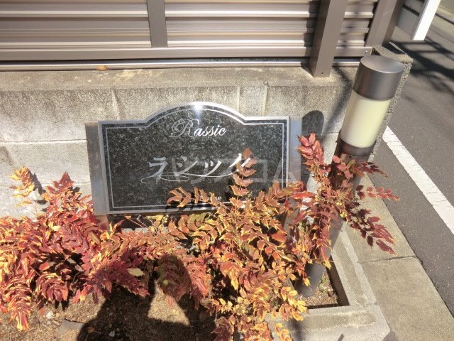 15/20 その他画像